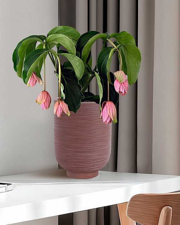 NEO24-BRN Напольное кашпо для цветов IDEALIST Премиум Нео, высокое, Д24 В32 см, цвет шоколад, 11 литров