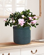 Настольное кашпо IDEALIST LITE Флоранжери, круглое, темно-зеленое, Д26 В25 см