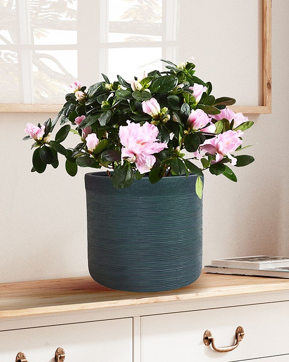 Настольное кашпо IDEALIST LITE Флоранжери, круглое, темно-зеленое, Д26 В25 см