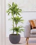 MAR36-BLK Напольное кашпо для цветов IDEALIST Премиум Марс, Д36 В29, черное, круглое, 20 литров