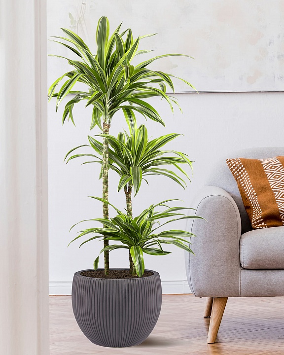 MAR36-BLK Напольное кашпо для цветов IDEALIST Премиум Марс, Д36 В29, черное, круглое, 20 литров