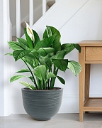 RIF36-GRN Напольное кашпо для цветов IDEALIST Премиум  Риф, чаша, Д36 В27 см, темно-зеленое, 13 литров