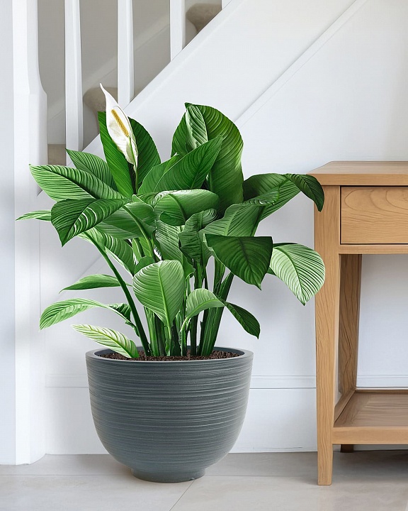 RIF36-GRN Напольное кашпо для цветов IDEALIST Премиум  Риф, чаша, Д36 В27 см, темно-зеленое, 13 литров