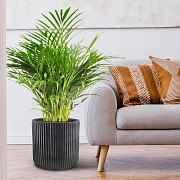 Напольное кашпо IDEALIST Lite Урбан, круглое, антрацит Д30.5 В30 см