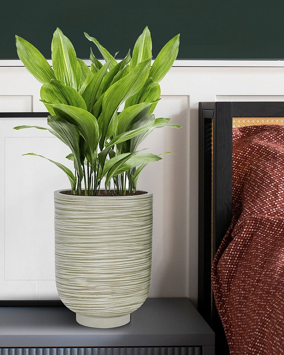 NEO24-GRN Напольное кашпо для цветов IDEALIST Премиум Нео, высокое, Д24 В32 см, зеленое, 11 литров