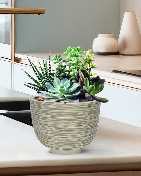 RIF24-WG Настольное кашпо для цветов IDEALIST Премиум Риф, чаша, Д24 В18 см, бело-зеленое, 4 литра