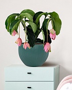 MAR29-GRN Настольное кашпо для цветов IDEALIST Премиум Марс, Д29 В22, изумрудное, круглое, 9 литров