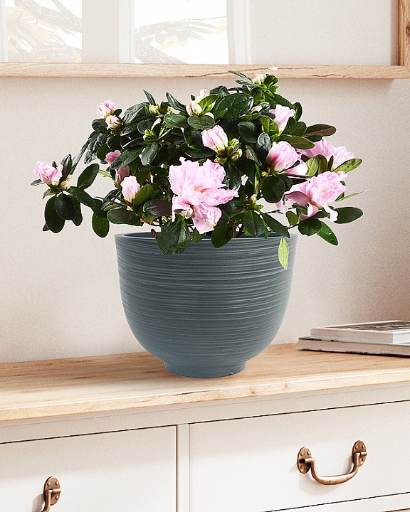 RIF24-GRN Настольное кашпо для цветов IDEALIST Премиум Риф, чаша, Д24 В18 см, темно-зеленое, 4 литра