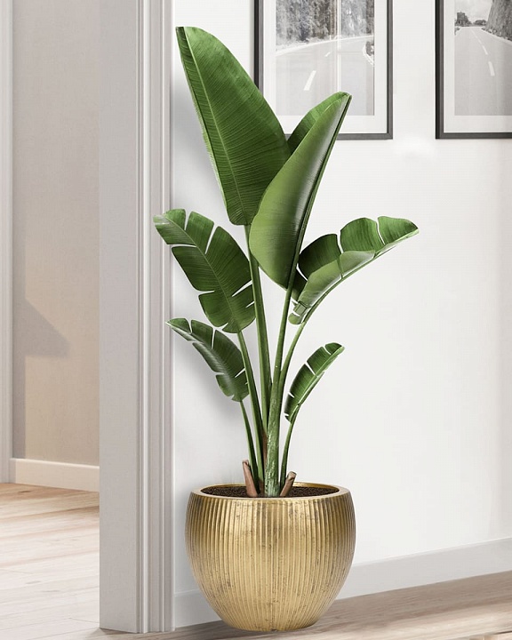 MAR36-GLD Напольное кашпо для цветов IDEALIST Премиум Марс, Д36 В29, золотое, круглое, 20 литров