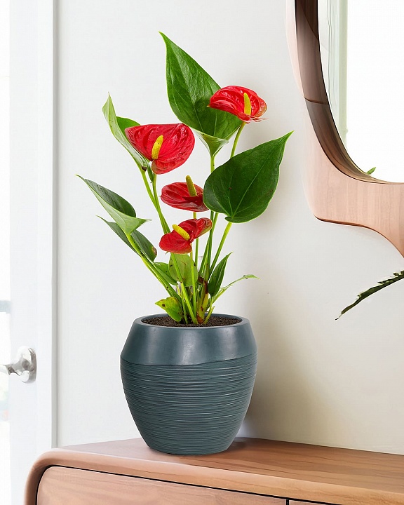 TER21-GRN Настольное кашпо для цветов IDEALIST Премиум Терра, круглое, Д21 В21 см, темно-зеленое, 6 литров