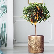 Настольное кашпо IDEALIST LITE Лист, файберстоун, золотистое, Д37 В37 см