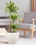 Напольное кашпо IDEALIST LITE Роу, круглое, слоновая кость, Д46 В39 см
