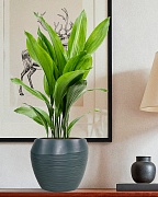 TER21-GRN Настольное кашпо для цветов IDEALIST Премиум Терра, круглое, Д21 В21 см, темно-зеленое, 6 литров