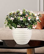 Настольное кашпо IDEALIST LITE Роу, круглое, слоновая кость, Д27 В25.5 см