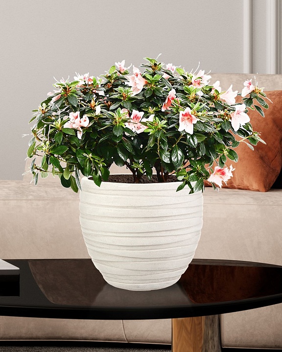 Настольное кашпо IDEALIST LITE Роу, круглое, слоновая кость, Д27 В25.5 см