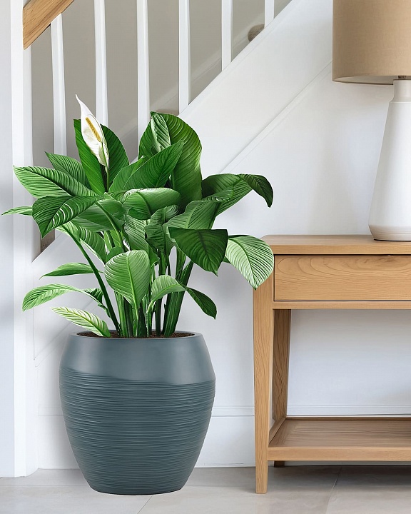 TER49-GRN Напольное кашпо для цветов IDEALIST Премиум Терра, круглое, Д49 В47 см, темно-зеленое, 80 литров