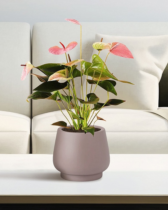 DUN24-BRN Настольное кашпо для цветов IDEALIST Премиум Дюна, Д24 В20 см, цвет кофе с молоком, чаша, 9 литров