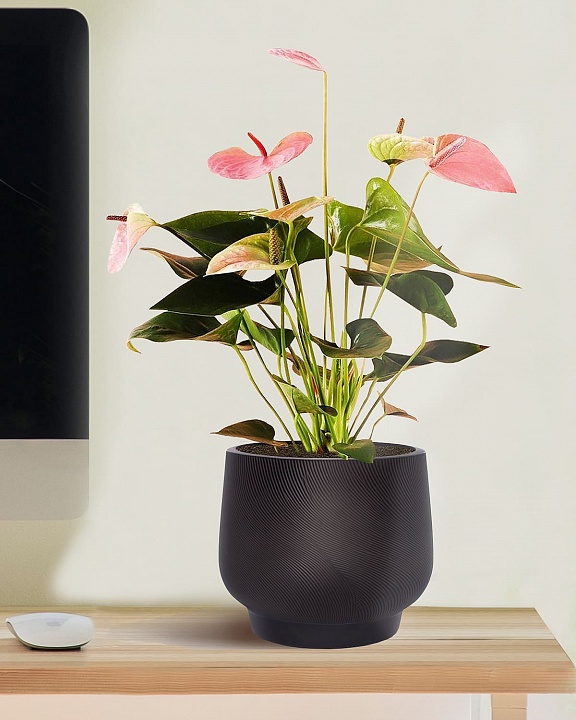 LIR24-BLK Настольное кашпо для цветов IDEALIST Премиум Лира, Д24 В21 см, черное, круглое, 10 литров