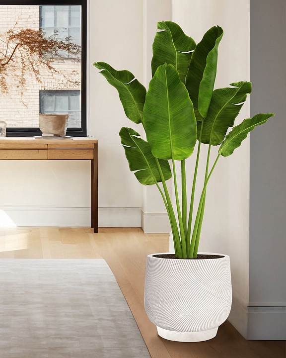 LIR33-AW Напольное кашпо для цветов IDEALIST Премиум Лира, Д33 В29 см, белое, круглое, 22 литра