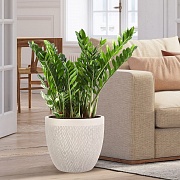 Напольное кашпо IDEALIST LITE Лотус, круглое, слоновая кость, Д37 В33.5 см