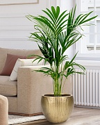 MAR36-GLD Напольное кашпо для цветов IDEALIST Премиум Марс, Д36 В29, золотое, круглое, 20 литров