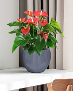 MAR29-GR Настольное кашпо для цветов IDEALIST Премиум Марс, Д29 В22, серое, круглое, 9 литров