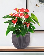 MAR29-BLK Настольное кашпо для цветов IDEALIST Премиум Марс, Д29 В22, черное, круглое, 9 литров