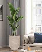 NEO44-BB Напольное кашпо для цветов IDEALIST Премиум Нео, высокое, Д44 В58 см, бежевое, 78 литров