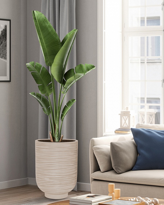 NEO44-BB Напольное кашпо для цветов IDEALIST Премиум Нео, высокое, Д44 В58 см, бежевое, 78 литров