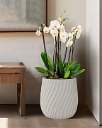 VELRV31-BB Напольное кашпо для цветов IDEALIST Премиум Велюр, круглое, Д31 В32 см, цвет айвори, 20 литров