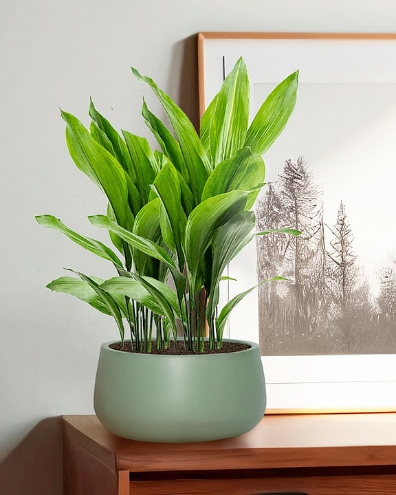 STN32-GRN Напольное кашпо для цветов IDEALIST Премиум Сатин, чаша, Д32 В16 см, зеленое, 11 литров