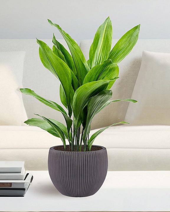 MAR29-BLK Настольное кашпо для цветов IDEALIST Премиум Марс, Д29 В22, черное, круглое, 9 литров