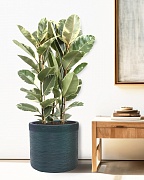 Напольное кашпо IDEALIST Lite Флоранжери, круглое, темно-зеленое Д42 В41 см