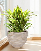 RIF36-BB Напольное кашпо для цветов IDEALIST Премиум Риф, чаша, Д36 В27 см, бежевое, 13 литров