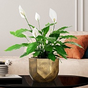 Напольное кашпо IDEALIST LITE Геометри, круглое, золотое, Д30 В22 см