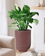 NEO44-BRN Напольное кашпо для цветов IDEALIST Премиум Нео, высокое, Д44 В58 см, цвет шоколад, 78 литров