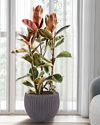 MAR49-BLK Напольное кашпо для цветов IDEALIST Премиум Марс, Д49 В38 см, черное, круглое, 55 литров