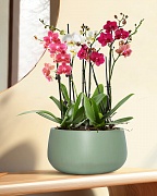 STN32-GRN Напольное кашпо для цветов IDEALIST Премиум Сатин, чаша, Д32 В16 см, зеленое, 11 литров