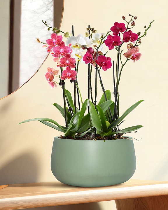 STN32-GRN Напольное кашпо для цветов IDEALIST Премиум Сатин, чаша, Д32 В16 см, зеленое, 11 литров