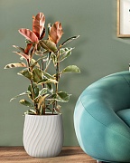 VELRV43-BB Напольное кашпо для цветов IDEALIST Премиум Велюр, круглое, Д43 В44 см, цвет айвори, 57 литров