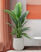 VELRV31-BB Напольное кашпо для цветов IDEALIST Премиум Велюр, круглое, Д31 В32 см, цвет айвори, 20 литров