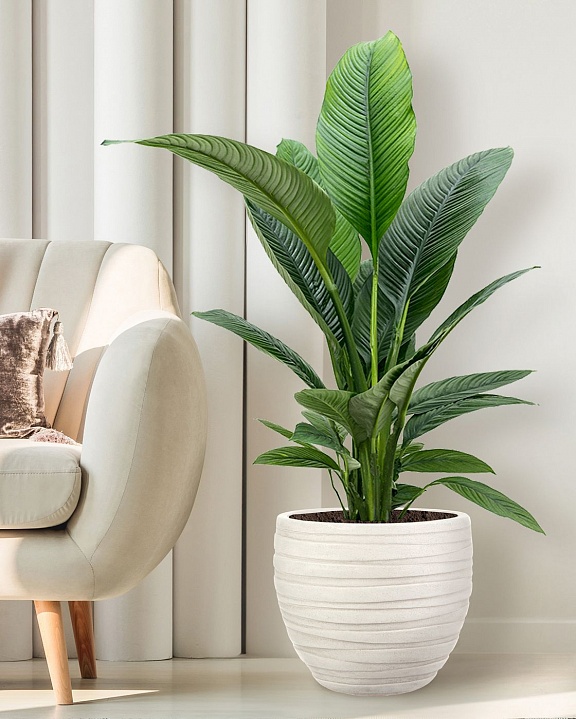 Напольное кашпо IDEALIST LITE Роу, круглое, слоновая кость, Д36 В31.5 см