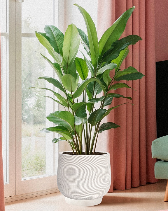 LIR33-AW Напольное кашпо для цветов IDEALIST Премиум Лира, Д33 В29 см, белое, круглое, 22 литра