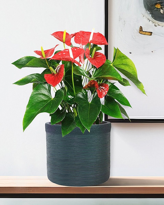 Настольное кашпо IDEALIST LITE Флоранжери, круглое, темно-зеленое, Д26 В25 см