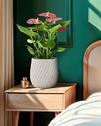 VELRV22-BB Настольное кашпо для цветов IDEALIST Премиум Велюр, круглое, Д22 В22 см, цвет айвори, 7 литров