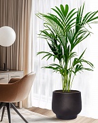 LIR43-BLK Напольное кашпо для цветов IDEALIST Премиум Лира, Д43 В38 см, черное, круглое, 51 литр