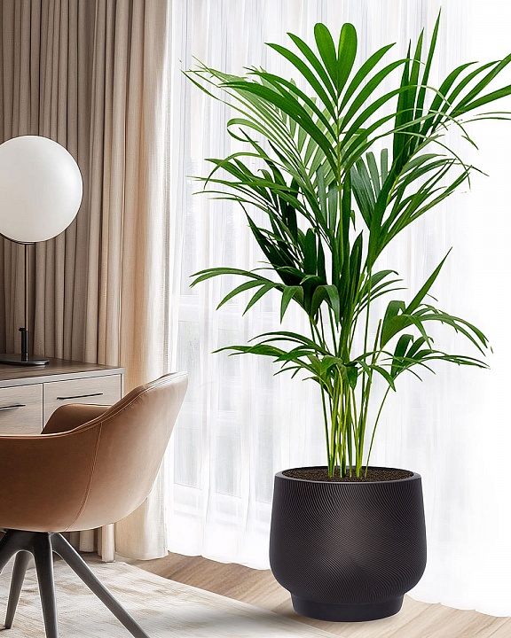 LIR43-BLK Напольное кашпо для цветов IDEALIST Премиум Лира, Д43 В38 см, черное, круглое, 51 литр