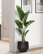 LIR33-BLK Напольное кашпо для цветов IDEALIST Премиум Лира, Д33 В29 см, черное, круглое, 22 литра