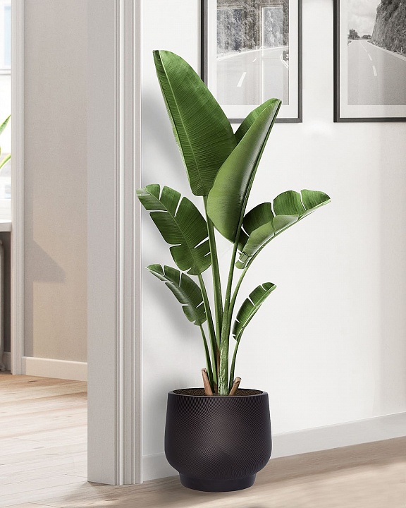 LIR33-BLK Напольное кашпо для цветов IDEALIST Премиум Лира, Д33 В29 см, черное, круглое, 22 литра