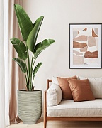 NEO44-GRN Напольное кашпо для цветов IDEALIST Премиум Нео, высокое, Д44 В58 см, зеленое, 78 литров